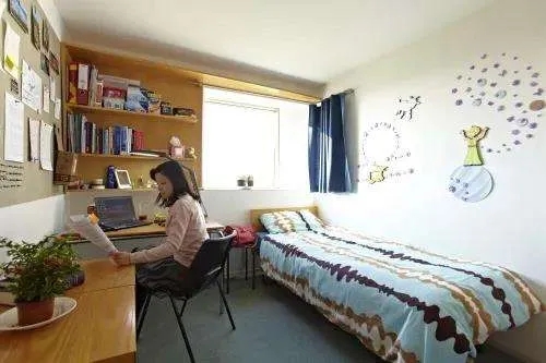 111640.webp.jpg